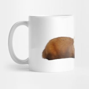 Pine Marten - Algonquin Park Mug